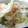 ちゃいぶ☆'s cooksnap of when they made 1分で出来ちゃう！レタスのおかか和え.