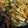 minhir01's cooksnap of when they made エビマヨ味？ピーマンとちくわ炒め.