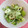 ankotetu's cooksnap of when they made オクラと白菜・竹輪のとろろ昆布あえ♪.
