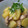 あやかときょうこ's cooksnap of when they made とろりん♪ジャガイモ煮！.