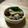 ＊アベリ＊'s cooksnap of when they made 超簡単♡BBQにも！タコと茸のアヒージョ.