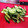 azzurro3's cooksnap of when they made 簡単！冷やし中華に♪きゅうりの千切り！.