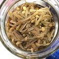 キコの台所's cooksnap of when they made 電子レンジのみで！なめ茸！.