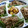 さかなぷりん's cooksnap of when they made ＊とんトンの焼きしゃぶ＊.