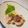 大魔女's cooksnap of when they made 鯵の刺身のさばき方.
