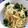 ユーロン's cooksnap of when they made （お弁当）コンソメパスタ　スパゲティ.