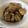 Nonno1120's cooksnap of when they made ご飯が進む！我が家の豚の角煮.
