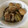 Nonno1120's cooksnap of when they made ご飯が進む！我が家の豚の角煮.