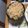 traum1's cooksnap of when they made 鮭と枝豆の春色ごはん.