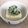 ＊coron＊'s cooksnap of when they made 温でも冷でも♥ゴマ油～香る♥しらすヤッコ.