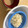 クックEV7CI9☆'s cooksnap of when they made つゆ飲み過ぎ注意☆簡単♪ごまつゆそうめん.