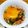 ☆魔矢☆'s cooksnap of when they made 簡単オクラ納豆.