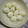 あーちゃん40's cooksnap of when they made 節約 簡単 うずらの卵の殻むき.