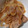 こびぃ。's cooksnap of when they made 我が家の定番☆豚の生姜焼き.