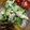 Marmo's cooksnap of when they made アスパラブロッコリーのツナマヨからし和え.