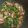 クックAC038G☆'s cooksnap of when they made 豚こまとセロリ葉炒め.