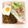 クックZFQX27☆'s cooksnap of when they made 市販のルーで♪簡単コク旨キーマカレー.