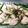 クック01IRBE☆'s cooksnap of when they made 夏！胸肉つるぷる水晶鶏をおろし胡瓜と梅で.