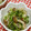 tokotann's cooksnap of when they made 簡単★副菜【豆苗としめじの胡麻和え】.