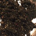 rakuen's cooksnap of when they made 赤紫蘇ジュースの紫蘇でソフトふりかけ.