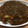kk4788's cooksnap of when they made 圧力鍋でとろとろチキンカレー.