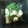 クックLJ2W4Q☆'s cooksnap of when they made おかひじきと長芋の山葵和え.