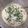 氷藍☆ひらん's cooksnap of when they made 旨ウマ♪湯通し生ひじきゴマドレ和えサラダ.