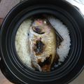 緑の鶏冠's cooksnap of when they made 浜のかあちゃんの鯛めし.