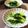 misatona's cooksnap of when they made 簡単冷製・チンゲン菜の煮浸し.