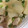 ちやちこ's cooksnap of when they made 小かぶとささ身のバター醤油炒め.