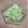 ぽぽきゅ's cooksnap of when they made 白瓜の浅漬け.