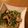 ☆クックhi☆'s cooksnap of when they made 鶏肉と豆苗のポン酢マヨ炒め☆.