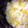 55yummy's cooksnap of when they made ♪♪とうもろこしごはん♪♪.