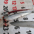 ラリー＆サラ's cooksnap of when they made 超簡単！きれい！魚の内臓の取り方.