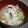 clover♡3's cooksnap of when they made 冬瓜の味噌汁.