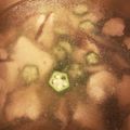 samaco's cooksnap of when they made 鶏むね肉と干し椎茸の疲労回復スープ.