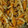 クックXFL002☆'s cooksnap of when they made ■□ 切り干し大根の煮物 □■.