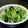 たんぽぽしぃ's cooksnap of when they made 水菜のサラダ韓国風！？.