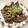 クックPK0A9N☆'s cooksnap of when they made 砂肝の塩ダレ☆おつまみやダイエットに.