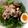 らぶかな's cooksnap of when they made やみつき！豚しゃぶソーメン.