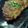 ぽよポヨ's cooksnap of when they made ＊鶏の照り焼き＊.