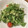 クック0UKU3W☆'s cooksnap of when they made 爽やか◎水菜とまるごとアボカドの白和え.