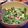 なつ★なつ's cooksnap of when they made 簡単！ドレッシングいらずのサラダ.