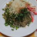 mitsucoto's cooksnap of when they made めんつゆで簡単！冷やしたぬきそば.