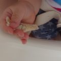 にゃんわんこ隊長's cooksnap of when they made 離乳食手づかみ蒸しパン！たまご砂糖不使用.