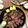 なっぱ猫's cooksnap of when they made ローストラム.