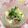 ぽぽきゅ's cooksnap of when they made たまご豆腐に、シラスかいわれ納豆♪.