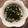 クックNB7Y25☆'s cooksnap of when they made 納豆ときゅうりの辛味和え.