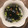 クックNB7Y25☆'s cooksnap of when they made 納豆ときゅうりの辛味和え.