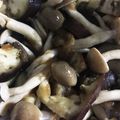 ʕ·͡·̫͖'s cooksnap of when they made レンジで簡単☆なすとしめじのおろしポン酢.